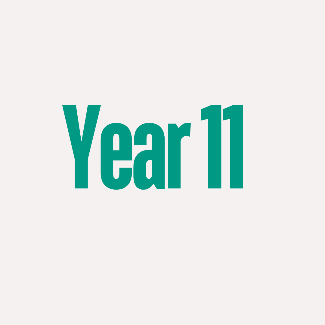 Y11 RSHE Lessons