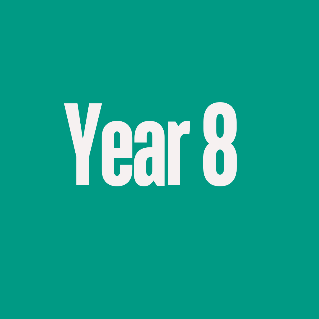 Year 8 RSHE Lessons