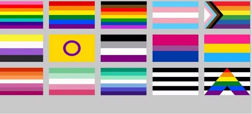 A poster containing all the LGBTQIA+ flags